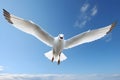 Seagull flying in the blue sky with white clouds as a background - Ai Generated Royalty Free Stock Photo