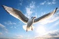 Seagull flying in the blue sky with white clouds as a background - Ai Generated Royalty Free Stock Photo