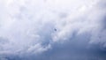 Seagull flying in a cloudy sky Royalty Free Stock Photo