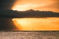 Seagull Flying in Fiery Sunrise over the Caribbean Sea, Mexico Royalty Free Stock Photo