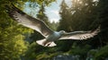 Seagull Flying In Forest: Terragen Style, Provia Photo By Ludwig Meidner Royalty Free Stock Photo