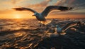 Seagull flying freely, sunset reflecting on tranquil sea generated by AI Royalty Free Stock Photo