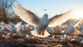 Seagull flying freely, symbol of peace, beauty in nature generated by AI Royalty Free Stock Photo