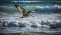 Seagull flying freely, wings spread, against the beautiful blue sky generated by AI Royalty Free Stock Photo