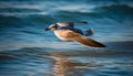 Seagull flying freely, wings spread, beauty in nature tranquility generated by AI Royalty Free Stock Photo