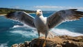 Seagull flying freely, wings spread, enjoying nature tranquil beauty generated by AI Royalty Free Stock Photo