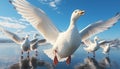 Seagull flying freely, wings spread, nature beauty in clear sky generated by AI Royalty Free Stock Photo