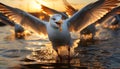 Seagull flying freely, wings spread, nature beauty in tranquil sunset generated by AI Royalty Free Stock Photo