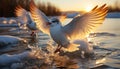 Seagull flying freely, wings spread, reflecting on tranquil water generated by AI Royalty Free Stock Photo