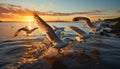 Seagull flying freely, wings spread, sunset reflects on tranquil water generated by AI Royalty Free Stock Photo