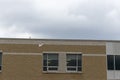 Seagull flying in front of beige brick building - cloudy gray sky - white bird with black wingtips - window with white panels Royalty Free Stock Photo