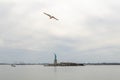 Seagull flying in front of Statue of Liberty, New York City