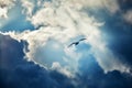 Seagull flying and hovering against a dramatic cloudy sky background Royalty Free Stock Photo