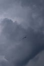 Seagull flying and hovering against a moody dramatic cloudy sky background Royalty Free Stock Photo