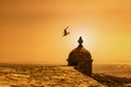 Seagull flying off a small tower by the coast at sunset Royalty Free Stock Photo