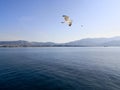 a seagull flying over the adriatic sea at sunset Royalty Free Stock Photo