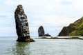 Seagull flying over big cliff where is colony of seabirds. Russia, Kamchatka Peninsula, nearby Cape Kekurny, Russian bay