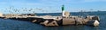 Seagull flying over a breakwater in France