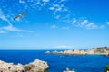 Seagull flying over Costa Paradiso Royalty Free Stock Photo