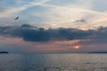 Seagull Flying over Lake Leman with Sunrise behind Clouds and Al Royalty Free Stock Photo