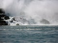 Seagull flying over Niagara river