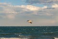 a seagull flying over the ocean with a cloudy sky above it and a beach below it with waves Royalty Free Stock Photo