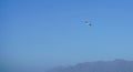Seagull flying over the ocean and the mountains Royalty Free Stock Photo