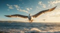 Seagull Flying Over Ocean At Sunset - Stunning Seagull Photo Royalty Free Stock Photo