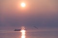 Seagull Flying over Rowing Team Training over Shimmering Lake at Sunset