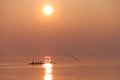 Seagull Flying over Rowing Team Training over Shimmering Lake at Sunset Royalty Free Stock Photo