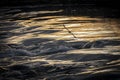 Seagull flying over Sava river rapids during wonderful winter sunset Royalty Free Stock Photo