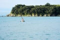 A seagull flying over the sea on a blurred background of a stone cape