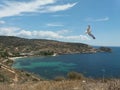 Seagull flying over the sea in Sirdinia Royalty Free Stock Photo