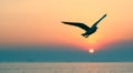 Seagull flying over sea Royalty Free Stock Photo