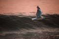 Seagull flying over the sea waves during sunset with a blurred background Royalty Free Stock Photo