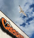 Seagull flying over storefront for a pizzeria