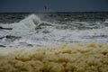 Seagull flying over stormy waves of the sea Royalty Free Stock Photo