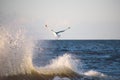 Seagull flying over the sunlit splash of wave Royalty Free Stock Photo