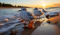 Seagull flying over tranquil sea at sunset, nature beauty captured generated by AI Royalty Free Stock Photo