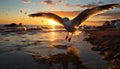 Seagull flying over tranquil sea, sunset paints nature beauty generated by AI Royalty Free Stock Photo