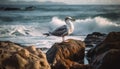 Seagull flying over tranquil seascape at sunset generated by AI Royalty Free Stock Photo