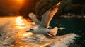 A seagull flying over the water at sunset with a boat in front of it, AI Royalty Free Stock Photo