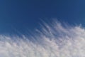 Seagull flying and sunlight with clouds, Salento - Italy