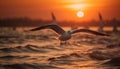 Seagull flying at sunset, nature beauty in freedom and tranquility generated by AI Royalty Free Stock Photo