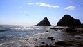 A Seagull flys over the Pacfic Ocean Royalty Free Stock Photo