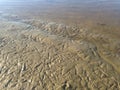 Seagull Footprints in Mud on Bottom of Receded River. Royalty Free Stock Photo