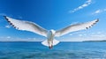 Seagull soars against blue coastal sky in flight.AI Generated