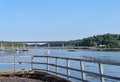 Seagull on handrail at Belfast, Maine in the summer Royalty Free Stock Photo