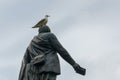 Seagull on the head of the Livingstone statue, Edinburgh Royalty Free Stock Photo