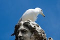 Seagull on head of statue in capital Rome Royalty Free Stock Photo